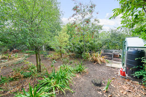 Garden- click for photo gallery